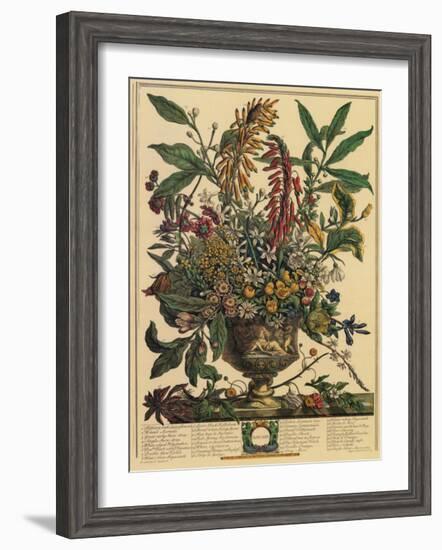 January-Robert Furber-Framed Art Print