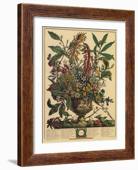 January-Robert Furber-Framed Art Print