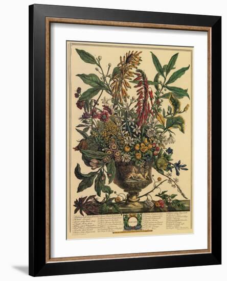 January-Robert Furber-Framed Art Print