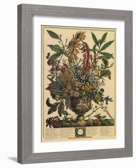 January-Robert Furber-Framed Art Print