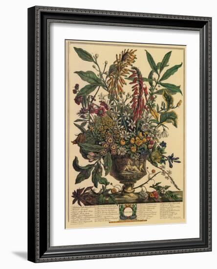 January-Robert Furber-Framed Art Print