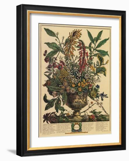 January-Robert Furber-Framed Art Print