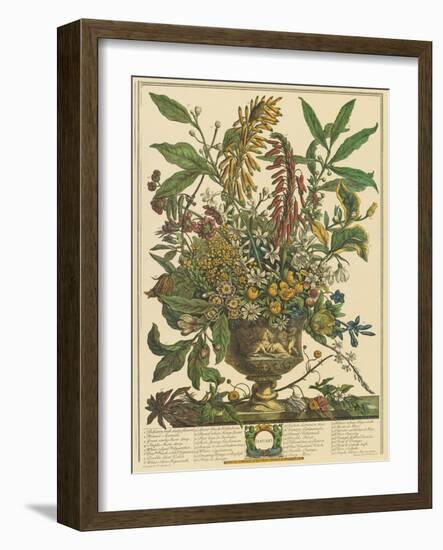 January-Robert Furber-Framed Art Print