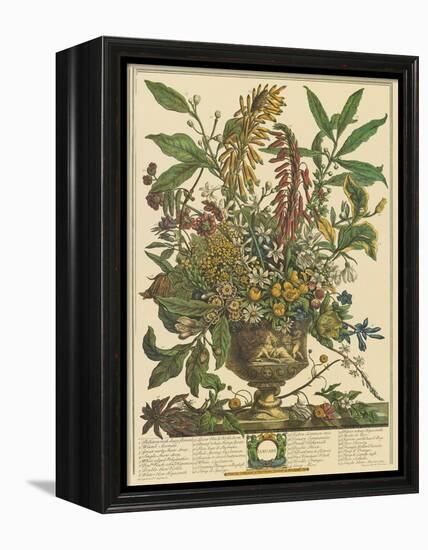 January-Robert Furber-Framed Stretched Canvas