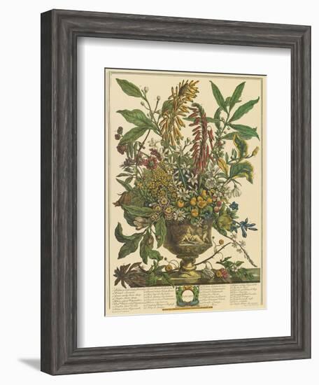 January-Robert Furber-Framed Art Print