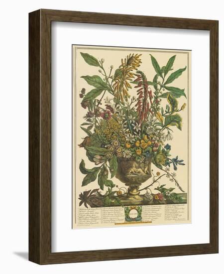 January-Robert Furber-Framed Art Print