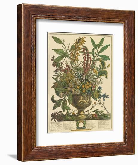 January-Robert Furber-Framed Art Print