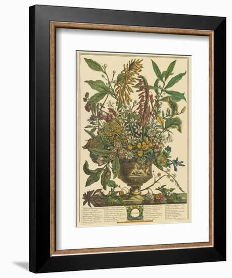 January-Robert Furber-Framed Art Print