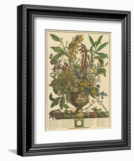 January-Robert Furber-Framed Art Print