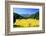 Japan Alps and Rice Field-tamikosan-Framed Photographic Print