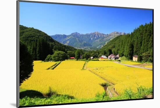Japan Alps and Rice Field-tamikosan-Mounted Photographic Print