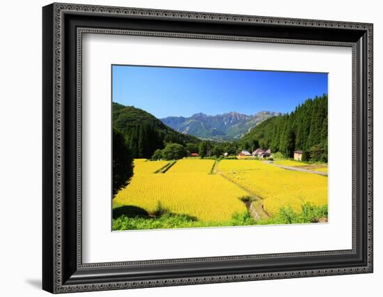 Japan Alps and Rice Field-tamikosan-Framed Photographic Print