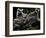 Japan Animal Lemur-Itsuo Inouye-Framed Premium Photographic Print