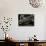 Japan Animal Lemur-Itsuo Inouye-Photographic Print displayed on a wall