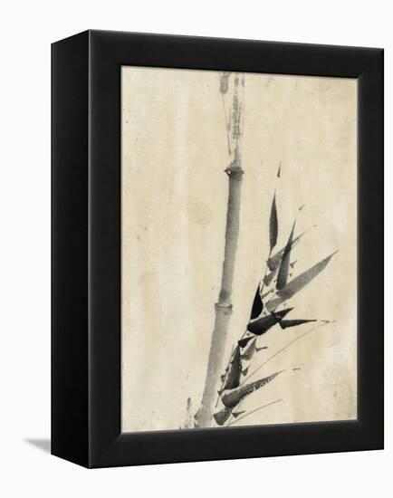 Japan: Bamboo, C1830-1850-Katsushika Hokusai-Framed Premier Image Canvas