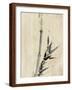 Japan: Bamboo, C1830-1850-Katsushika Hokusai-Framed Giclee Print
