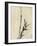 Japan: Bamboo, C1830-1850-Katsushika Hokusai-Framed Giclee Print