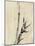 Japan: Bamboo, C1830-1850-Katsushika Hokusai-Mounted Giclee Print