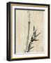 Japan: Bamboo, C1830-1850-Katsushika Hokusai-Framed Giclee Print