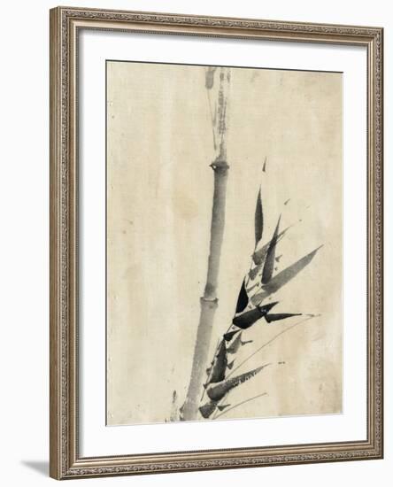 Japan: Bamboo, C1830-1850-Katsushika Hokusai-Framed Giclee Print