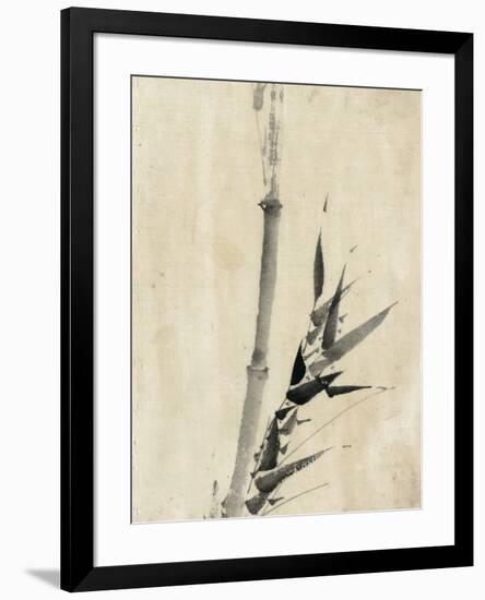 Japan: Bamboo, C1830-1850-Katsushika Hokusai-Framed Giclee Print