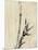 Japan: Bamboo, C1830-1850-Katsushika Hokusai-Mounted Giclee Print