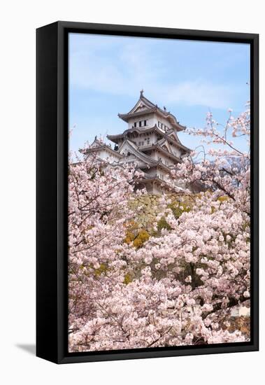 Japan Castle with Pink Cherry Blossoms Flower-aslysun-Framed Premier Image Canvas