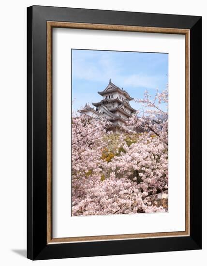 Japan Castle with Pink Cherry Blossoms Flower-aslysun-Framed Photographic Print