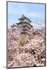 Japan Castle with Pink Cherry Blossoms Flower-aslysun-Mounted Photographic Print