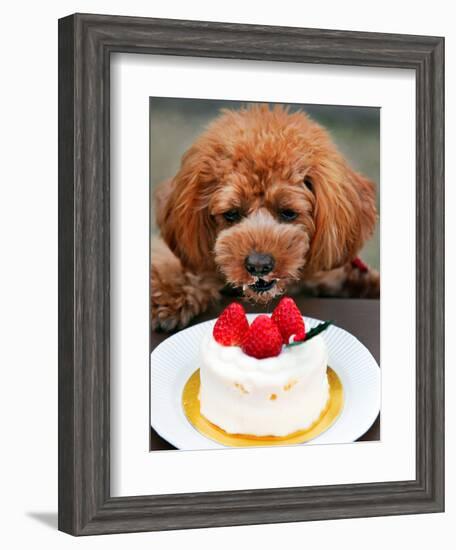 Japan Dog Christmas Cake-Itsuo Inouye-Framed Premium Photographic Print