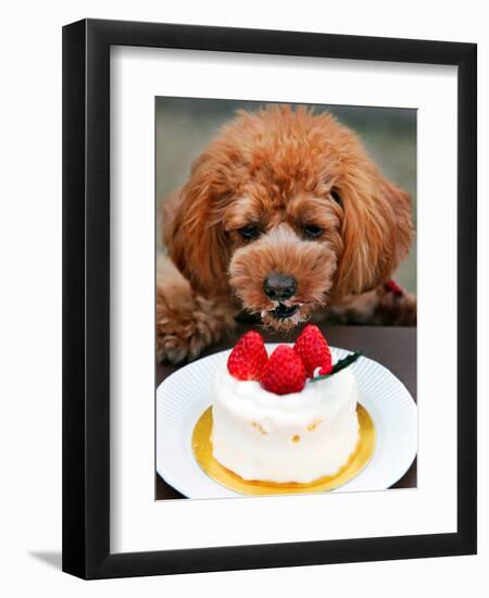 Japan Dog Christmas Cake-Itsuo Inouye-Framed Premium Photographic Print