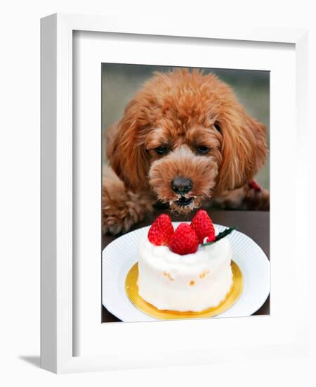 Japan Dog Christmas Cake-Itsuo Inouye-Framed Premium Photographic Print