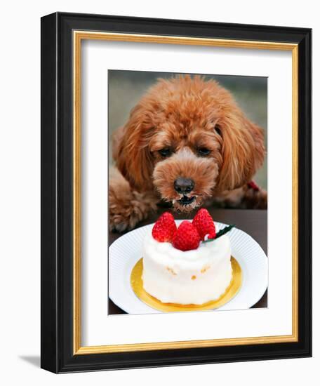 Japan Dog Christmas Cake-Itsuo Inouye-Framed Premium Photographic Print