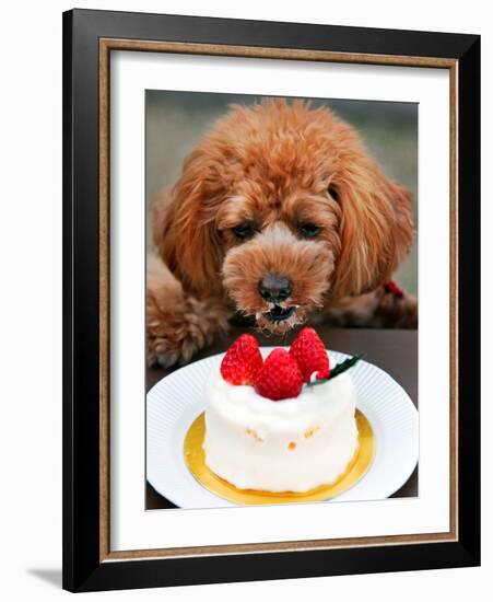 Japan Dog Christmas Cake-Itsuo Inouye-Framed Photographic Print