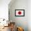 Japan Flag Design with Wood Patterning - Flags of the World Series-Philippe Hugonnard-Framed Stretched Canvas displayed on a wall