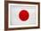 Japan Flag Design with Wood Patterning - Flags of the World Series-Philippe Hugonnard-Framed Art Print
