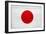 Japan Flag Design with Wood Patterning - Flags of the World Series-Philippe Hugonnard-Framed Art Print
