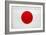 Japan Flag Design with Wood Patterning - Flags of the World Series-Philippe Hugonnard-Framed Premium Giclee Print