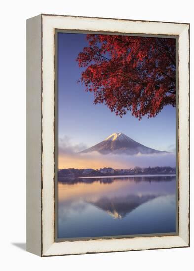 Japan, Fuji - Hakone - Izu National Park, Mt Fuji and Kawaguchi Ko Lake-Michele Falzone-Framed Premier Image Canvas