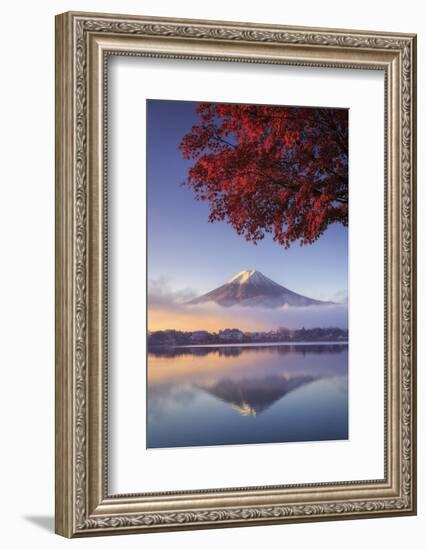 Japan, Fuji - Hakone - Izu National Park, Mt Fuji and Kawaguchi Ko Lake-Michele Falzone-Framed Photographic Print