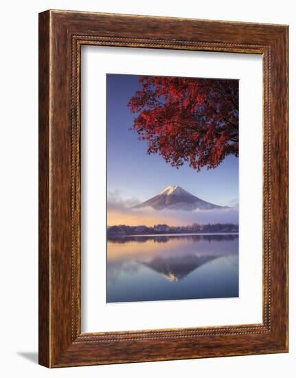 Japan, Fuji - Hakone - Izu National Park, Mt Fuji and Kawaguchi Ko Lake-Michele Falzone-Framed Photographic Print