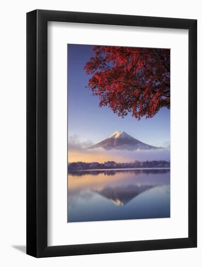 Japan, Fuji - Hakone - Izu National Park, Mt Fuji and Kawaguchi Ko Lake-Michele Falzone-Framed Photographic Print