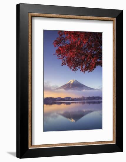 Japan, Fuji - Hakone - Izu National Park, Mt Fuji and Kawaguchi Ko Lake-Michele Falzone-Framed Photographic Print