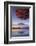 Japan, Fuji - Hakone - Izu National Park, Mt Fuji and Kawaguchi Ko Lake-Michele Falzone-Framed Photographic Print