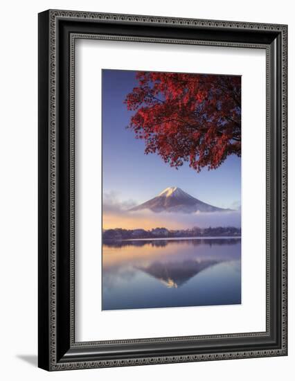 Japan, Fuji - Hakone - Izu National Park, Mt Fuji and Kawaguchi Ko Lake-Michele Falzone-Framed Photographic Print