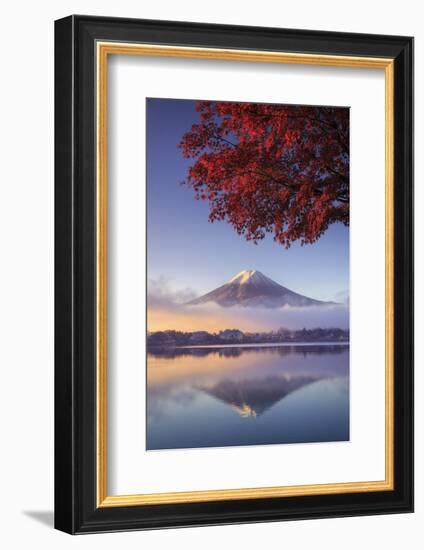 Japan, Fuji - Hakone - Izu National Park, Mt Fuji and Kawaguchi Ko Lake-Michele Falzone-Framed Photographic Print