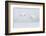 Japan, Hokkaido, Lake Kussharo. Two Whooper Swans flying-Hollice Looney-Framed Photographic Print