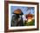 Japan, Honshu, Kansai Region, Kiyomizu-Dera, Shinto Priest Seeking Donations Wearing a Bamboo Hat-Gavin Hellier-Framed Photographic Print