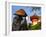 Japan, Honshu, Kansai Region, Kiyomizu-Dera, Shinto Priest Seeking Donations Wearing a Bamboo Hat-Gavin Hellier-Framed Photographic Print