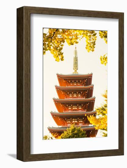 Japan, Honshu, Tokyo, Asakusa,  Sensoji Temple aka Asakusa Kannon Temple-Steve Vidler-Framed Photographic Print